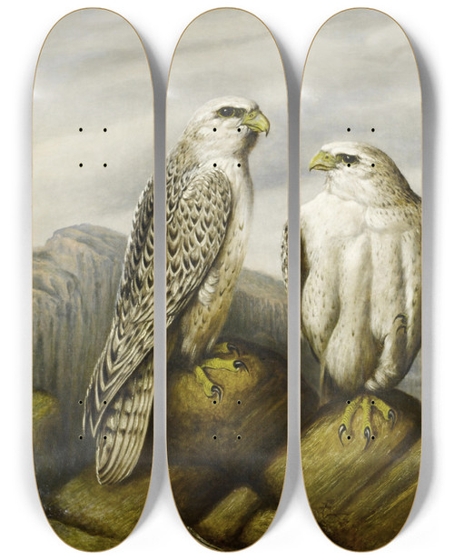 Triptych art skateboard deck of Joseph Wolf Gyr Falcons On A Rocky Ledge by Joseph Wolf (1820-1899)