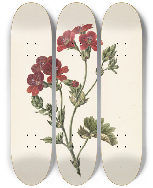 Triptych art skateboard deck of M De Gijselaar Rode Bloem by M. de Gijselaar (19-)