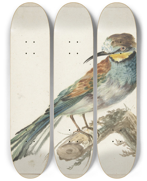 Triptych art skateboard deck of Jan Weenix Bijeneter Merops Apiaster by Jan Weenix (1641-1719)