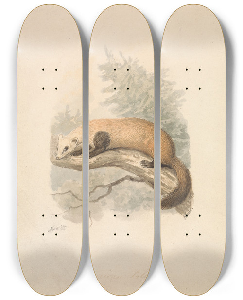 Triptych art skateboard deck of Samuel Howitt Polecat by Samuel Howitt (1756-1822)