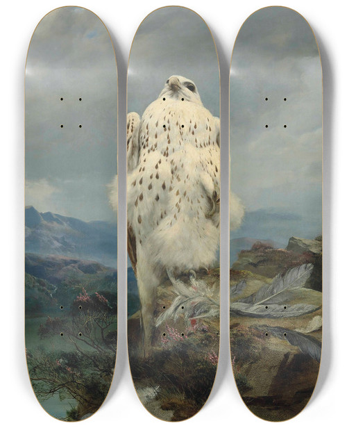 Triptych art skateboard deck of Joseph Wolf A Gyrfalcon In An Extensive Mountainous Landscape by Joseph Wolf (1820-1899)