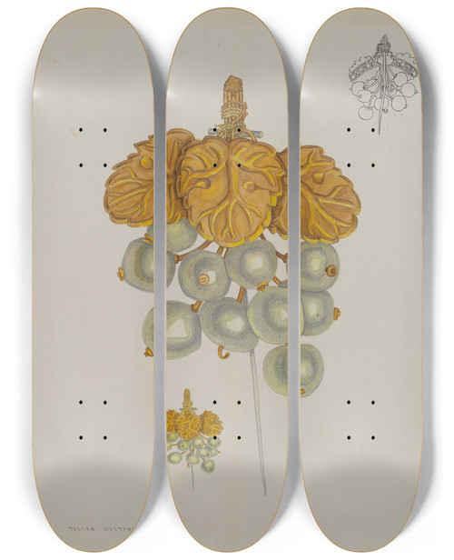 Triptych art skateboard deck of Tulita Westfall Pearl Pin by Tulita Westfall