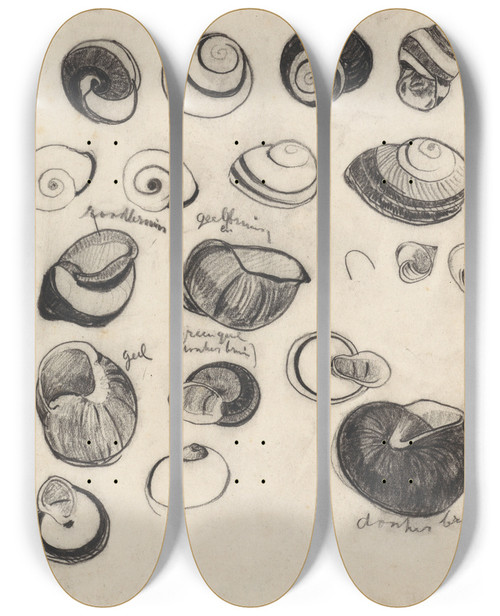Triptych art skateboard deck of Theo Nieuwenhuis Studieblad Met Schelpjes by Theo Nieuwenhuis (1866-1951)
