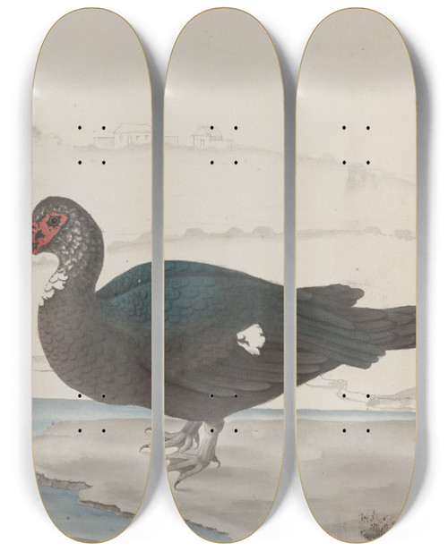 Triptych art skateboard deck of Ren De Rabi Natural History Of Saint Domingue Pl031 by Ren de Rabi (1700-1785)