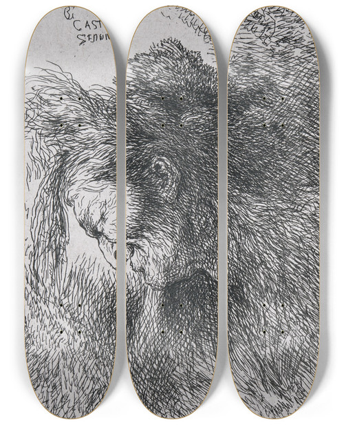 Triptych art skateboard deck of Giovanni Benedetto Castiglione Old Man Looking Down by Giovanni Benedetto Castiglione (1609-1664)