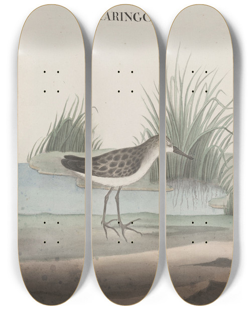 Triptych art skateboard deck of Ren De Rabi Natural History Of Saint Domingue Pl051 by Ren de Rabi (1700-1785)