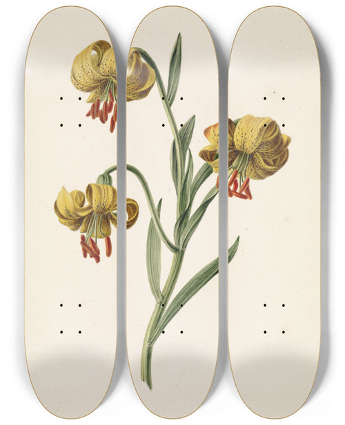 Triptych art skateboard deck of M De Gijselaar Tak Met Drie Gele Lelies by M. de Gijselaar (19-)