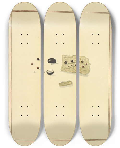 Triptych art skateboard deck of James Bolton Icons Fungorum Circa Halifax Sponte Nascentium Pl185 by James Bolton (1735-1799)