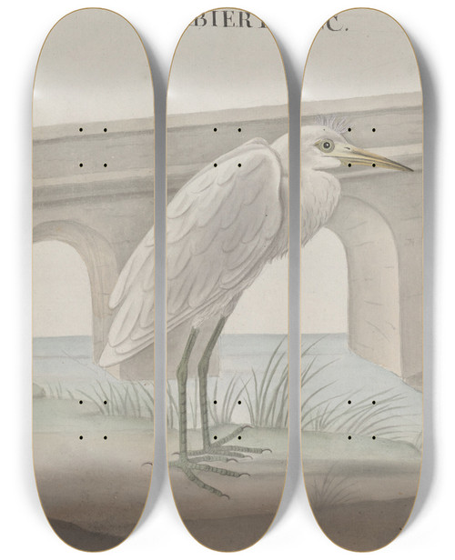 Triptych art skateboard deck of Ren De Rabi Natural History Of Saint Domingue Pl054 by Ren de Rabi (1700-1785)
