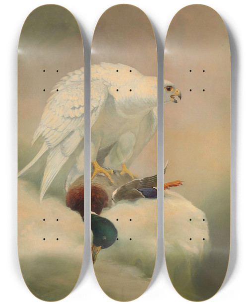 Triptych art skateboard deck of Joseph Wolf Gyrfalcon by Joseph Wolf (1820-1899)