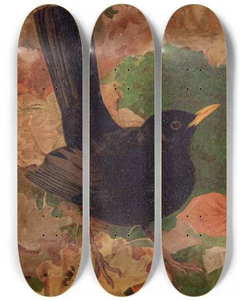 Triptych art skateboard deck of Lopaul Robert Merle Noir by Leo Paul Robert (1851-1923)