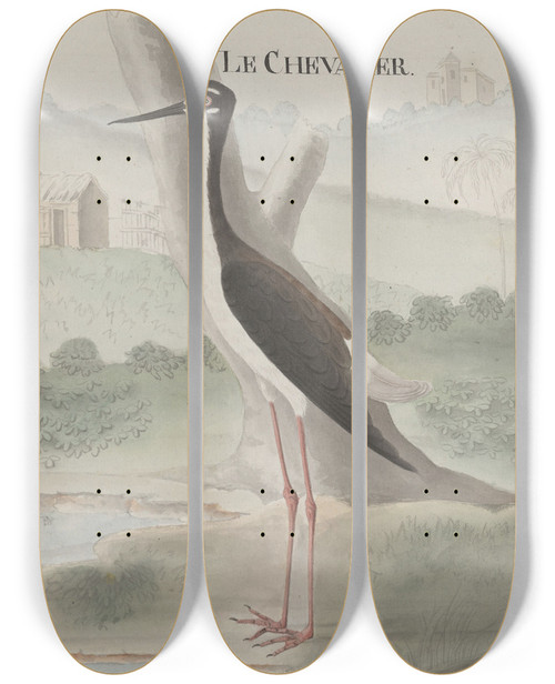 Triptych art skateboard deck of Ren De Rabi Natural History Of Saint Domingue Pl052 by Ren de Rabi (1700-1785)