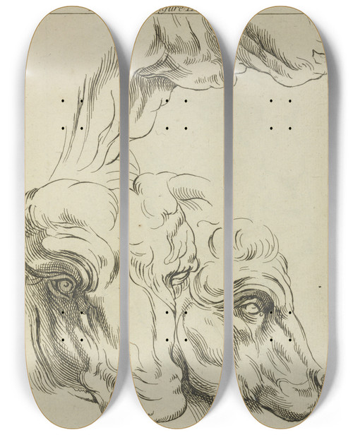Triptych art skateboard deck of Peter Paul Rubens Heads And Necks Of Two Bovines Portion Of Neck Of A Third by Peter Paul Rubens (1577-1640)