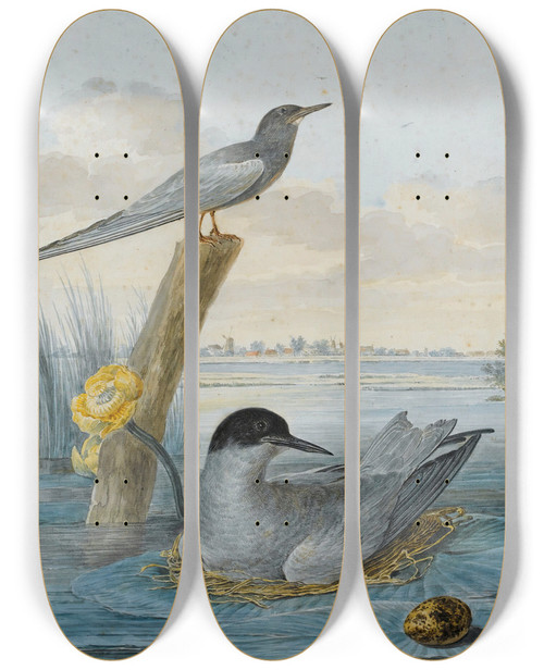 Triptych art skateboard deck of Aert Schouman A Pair Of Black Terns With Nest And Egg In A River Landscape by Aert Schouman (1710-1792)
