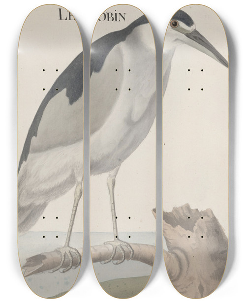 Triptych art skateboard deck of Ren De Rabi Natural History Of Saint Domingue Pl057 by Ren de Rabi (1700-1785)