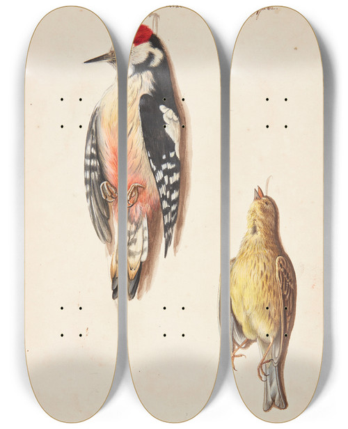 Triptych art skateboard deck of Johanna Fosie Studie Af Dd Flagsptte Og Gulspurv Ophngt by Johanna Fosie (1726-1764)