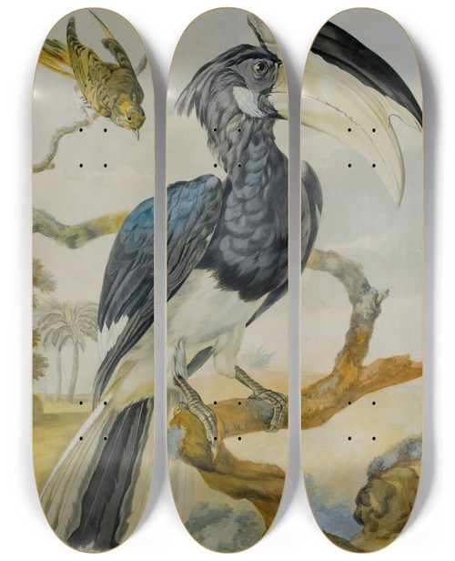 Triptych art skateboard deck of Circle Of Aert Schouman A Hornbill And Another Bird On A Branch by Circle Of Aert Schouman (1710-1792)