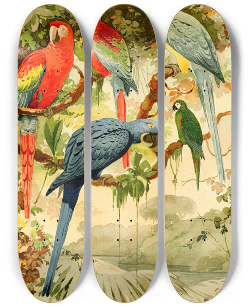 Triptych art skateboard deck of Emil August Gldi Arras by Emil August Goldi (1859-1917)