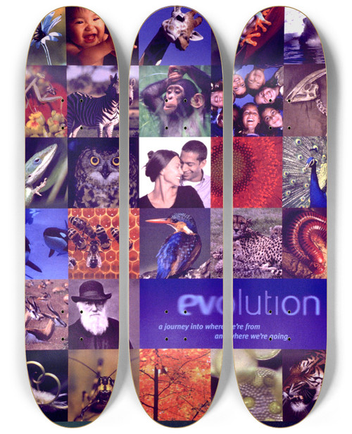 Triptych art skateboard deck of National Institutes Of Health Evolution A Journey Into Where Were From And Where Were Going by National Institutes Of Health (1887)