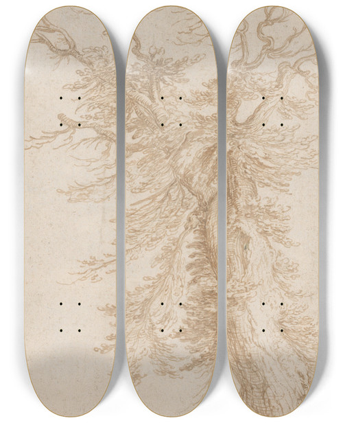 Triptych art skateboard deck of Jacob De Gheyn Ii Study Of A Tree by Jacob de Gheyn II (1565-1629)