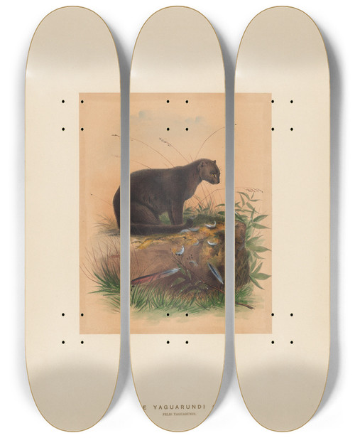 Triptych art skateboard deck of Joseph Wolf The Yaguarundi Cat_2 by Joseph Wolf (1820-1899)