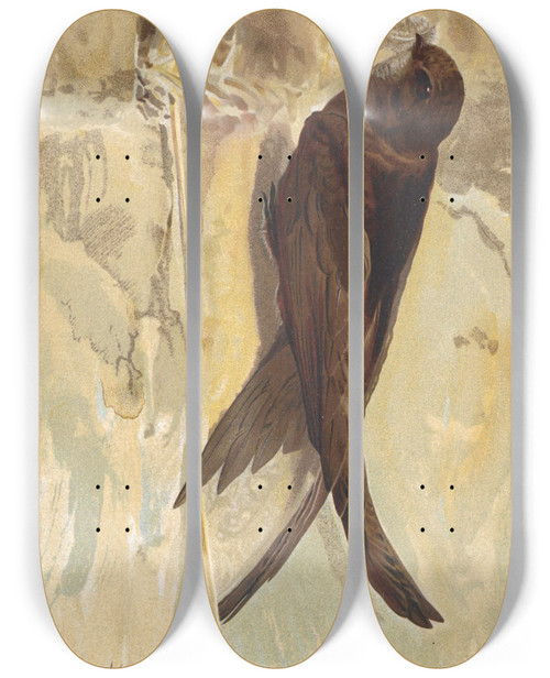 Triptych art skateboard deck of Lopaul Robert Martinet Noir by Leo Paul Robert (1851-1923)