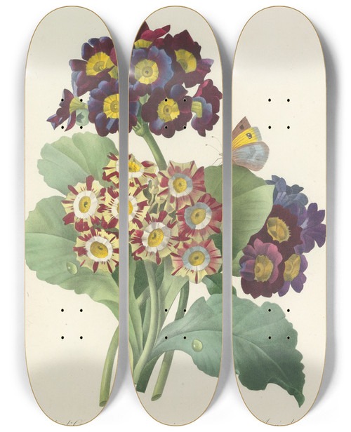 Triptych art skateboard deck of Pierre Joseph Redout Choix Des Plus Belles Fleurs Pl 080 by Pierre Joseph Redoute (1759-1840)