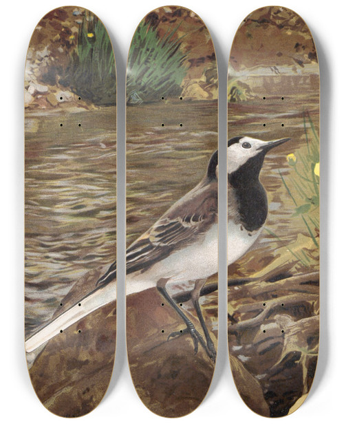 Triptych art skateboard deck of Lopaul Robert Lavandire Grise by Leo Paul Robert (1851-1923)