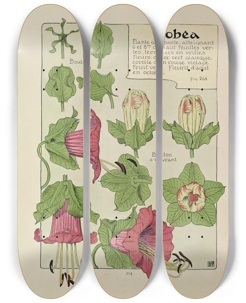 Triptych art skateboard deck of Maurice Pillard Verneuil Cobea by Maurice Pillard Verneuil (1869-1942)