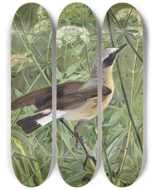 Triptych art skateboard deck of Lopaul Robert Traquet Motteux by Leo Paul Robert (1851-1923)
