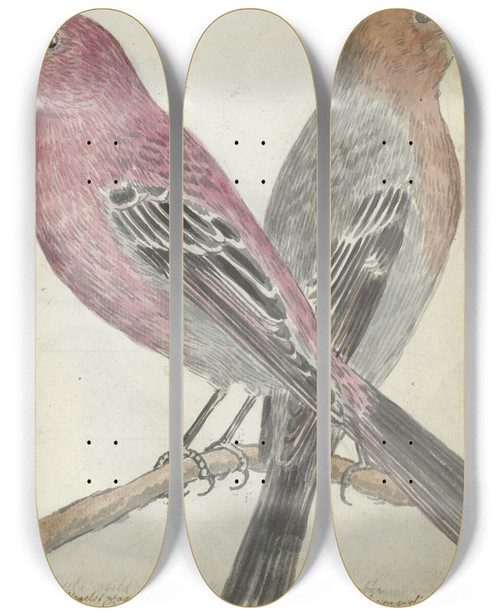 Triptych art skateboard deck of Jan Brandes Zweedse Vogels by Jan Brandes (1743-1808)