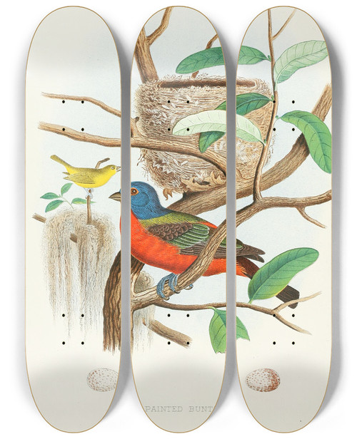 Triptych art skateboard deck of Edwin L Sheppard Painted Bunting by Edwin L Sheppard (1904)