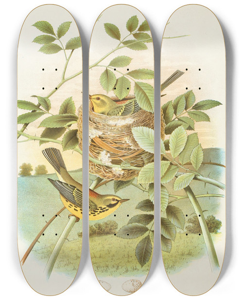 Triptych art skateboard deck of Edwin L Sheppard Prairie Warbler by Edwin L Sheppard (1904)