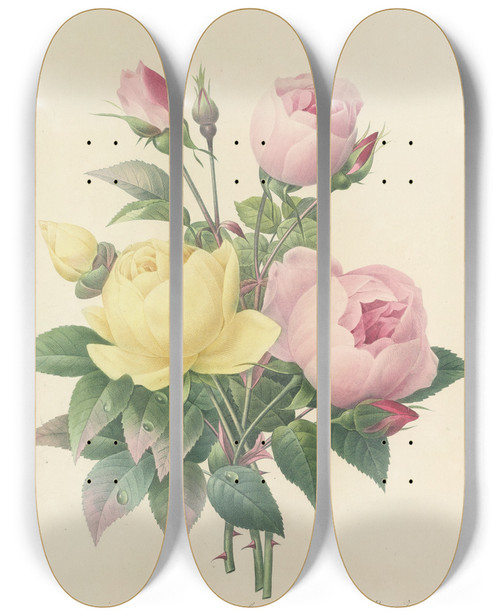 Triptych art skateboard deck of Pierre Joseph Redout Choix Des Plus Belles Fleurs Pl 094 by Pierre Joseph Redoute (1759-1840)