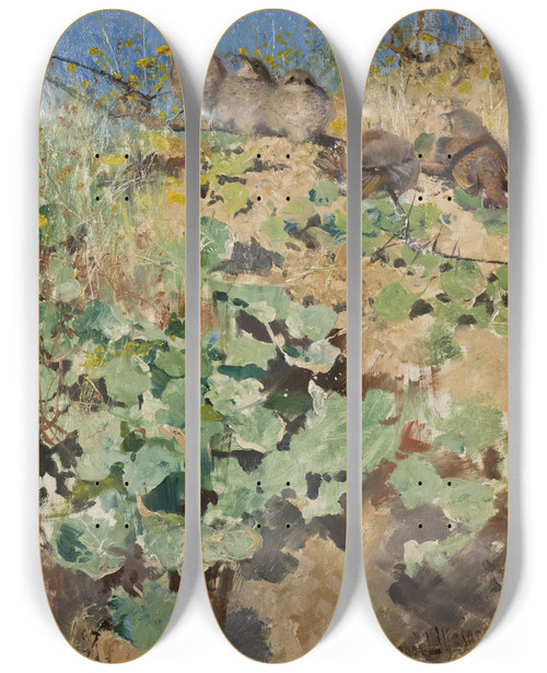 Triptych art skateboard deck of Bruno Liljefors Nestlings Of Redbacked Shrike by Bruno Liljefors (1860-1939)