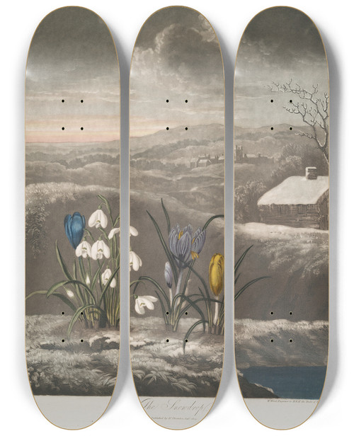 Triptych art skateboard deck of Robert John Thornton The Snowdrop by Robert John Thornton (1768-1837)