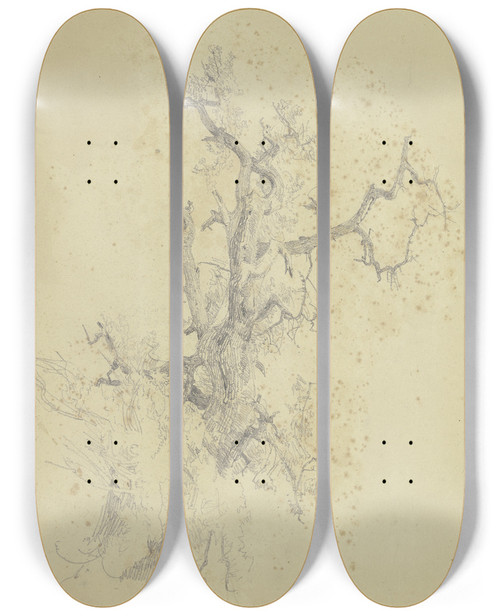 Triptych art skateboard deck of Jakob Becker Weitgehend Kahle Baumkrone In Untersicht by Jakob Becker (1810-1872)