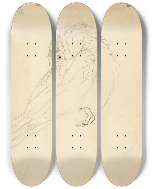 Triptych art skateboard deck of Theo Van Hoytema Papegaai_1 by Theo Van Hoytema (1863-1917)