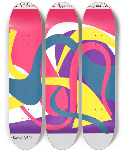 Triptych art skateboard deck of National Institutes Of Health Cell And Molecular Biological Approaches To Learning And Memory by National Institutes Of Health (1887)