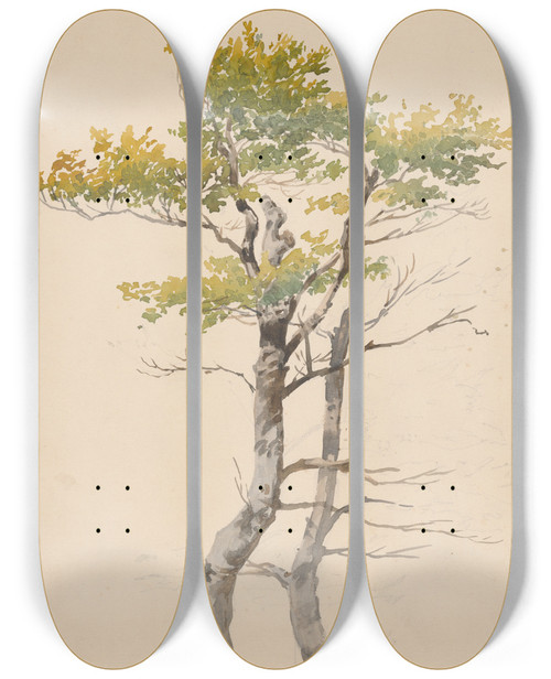 Triptych art skateboard deck of Friedrich Carl Von Scheidlin Study Of Deciduous Tree by Friedrich Carl Von Scheidlin (1822-1913)