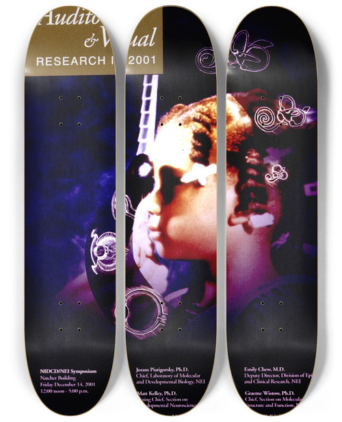 Triptych art skateboard deck of National Institutes Of Health Auditory And Visual Research In 2001 by National Institutes Of Health (1887)