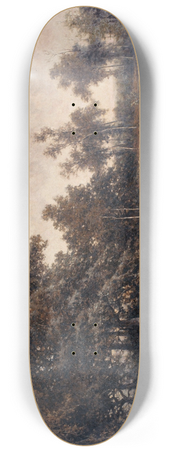 Euphrosine Beernaert - Pool in the Kempen 8.25 inch art skate deck