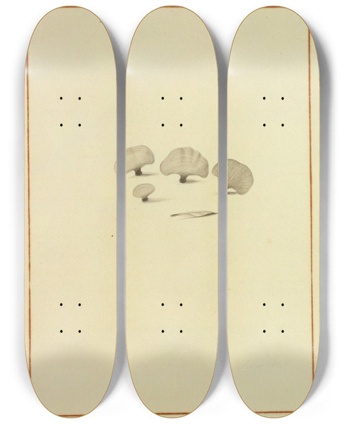 Triptych art skateboard deck of James Bolton Icons Fungorum Circa Halifax Sponte Nascentium Pl157 by James Bolton (1735-1799)