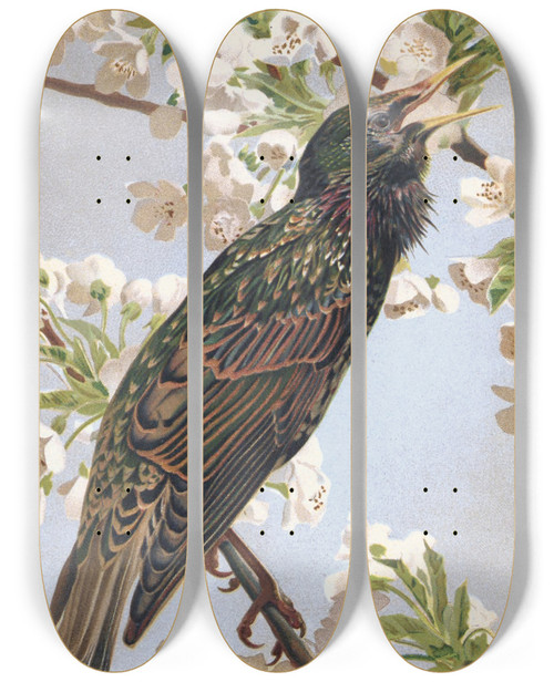 Triptych art skateboard deck of Lopaul Robert Tourneau by Leo Paul Robert (1851-1923)