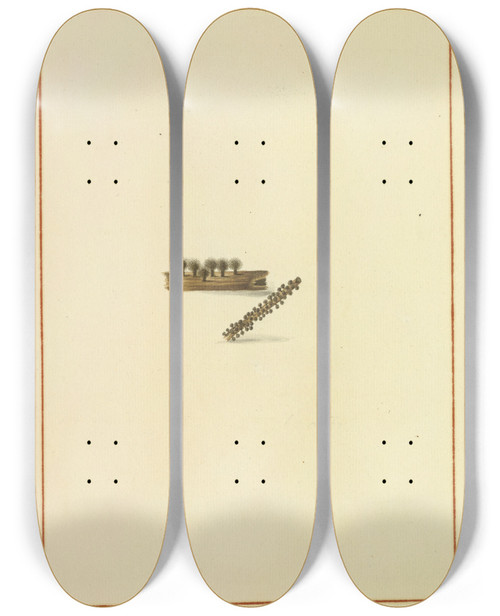 Triptych art skateboard deck of James Bolton Icons Fungorum Circa Halifax Sponte Nascentium Pl162 by James Bolton (1735-1799)
