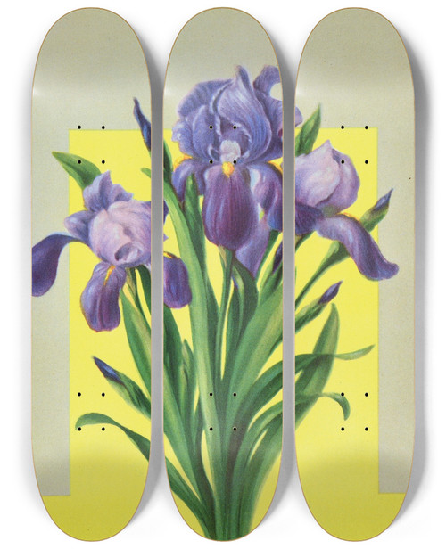 Triptych art skateboard deck of Lafayette F Cargill Iris by Lafayette F Cargill (20-)