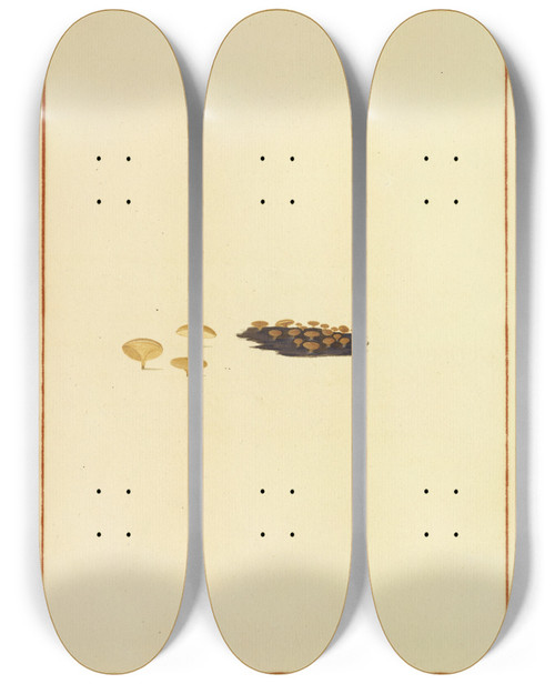 Triptych art skateboard deck of James Bolton Icons Fungorum Circa Halifax Sponte Nascentium Pl164 by James Bolton (1735-1799)