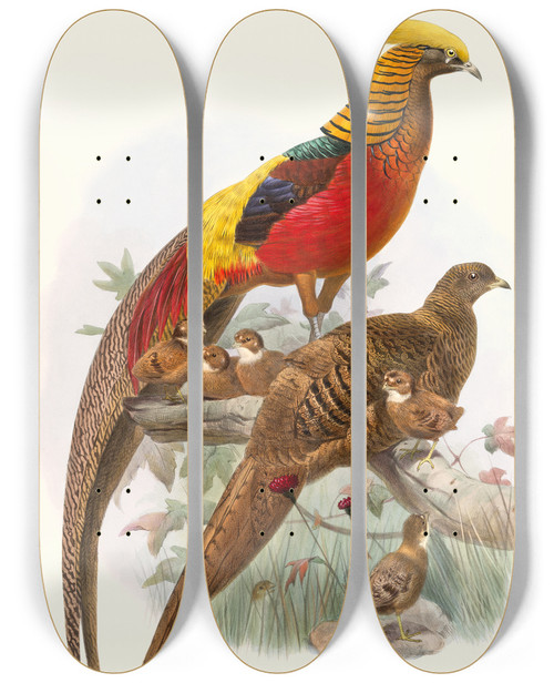 Triptych art skateboard deck of Joseph Smit Thaumalea Obscura by Joseph Smit (1836-1929)