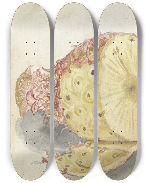 Triptych art skateboard deck of Jan Brandes Ananas_3 by Jan Brandes (1743-1808)