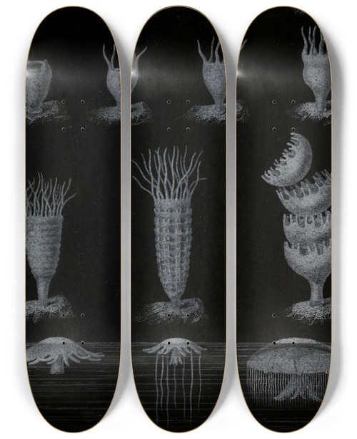 Triptych art skateboard deck of Alfred Frdol Dveloppement De La Mduse by Alfred Fredol (1804-1863)